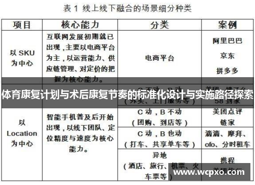 体育康复计划与术后康复节奏的标准化设计与实施路径探索