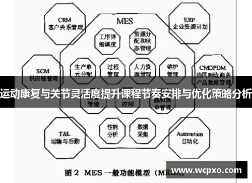 运动康复与关节灵活度提升课程节奏安排与优化策略分析